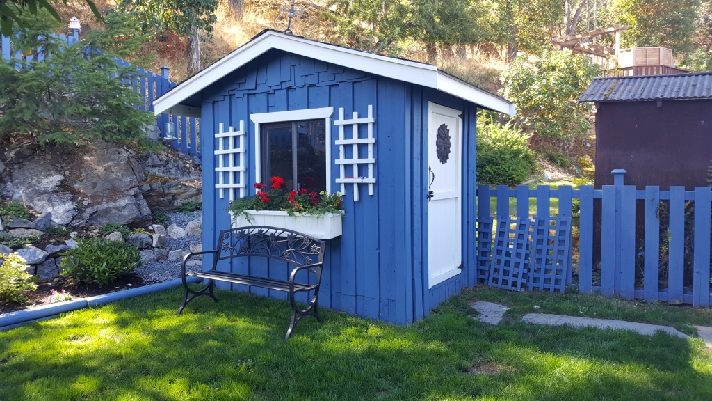 Back Yard Shed Painted Blue and White